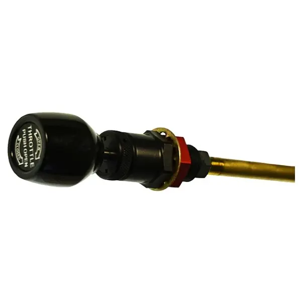 Screenshot 2026-02-12 100725.webp