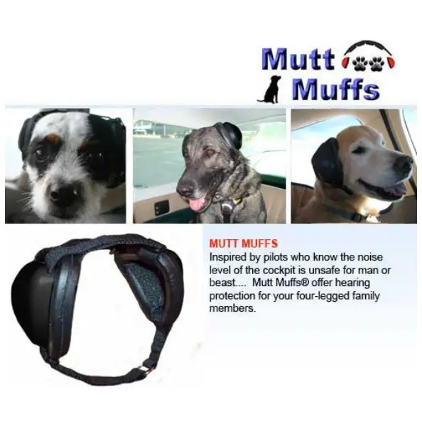 Screenshot 2026-03-06 110322.webp