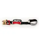 Screenshot 2026-03-13 155617.webp