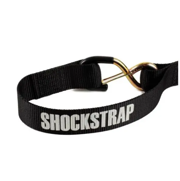 Screenshot 2026-03-13 160001.webp