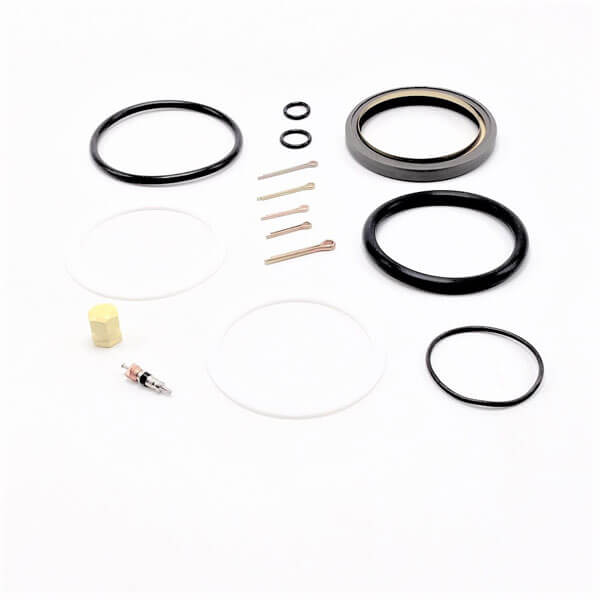 Beech Main Strut Service Kit For B55E5556Tc58G5858P And 58Tc Baron With 60-810000 Series Gear