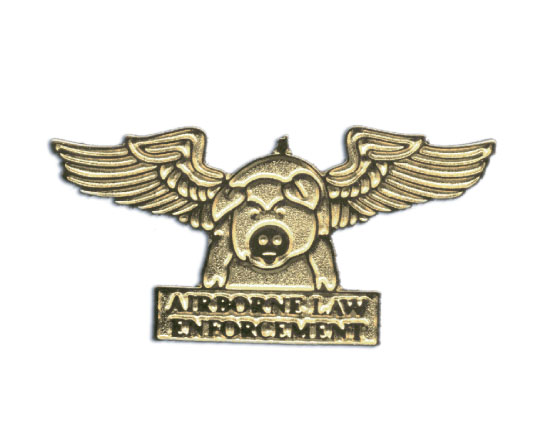 Flying Pig Pin