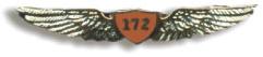 Cessna 172 Wings Pin