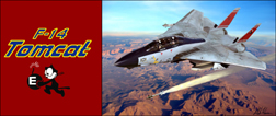 F-14 CLASSIC FLIGHT MUG