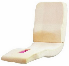 Oregon Aero Glasair I Cushion