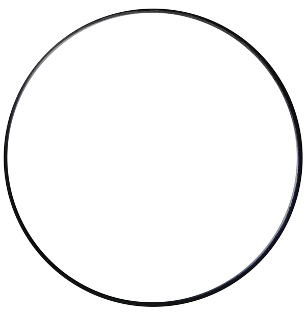 Superior AS3578-038 O-Ring