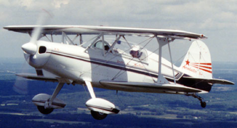 Acroduster Too Lower Wng Spars