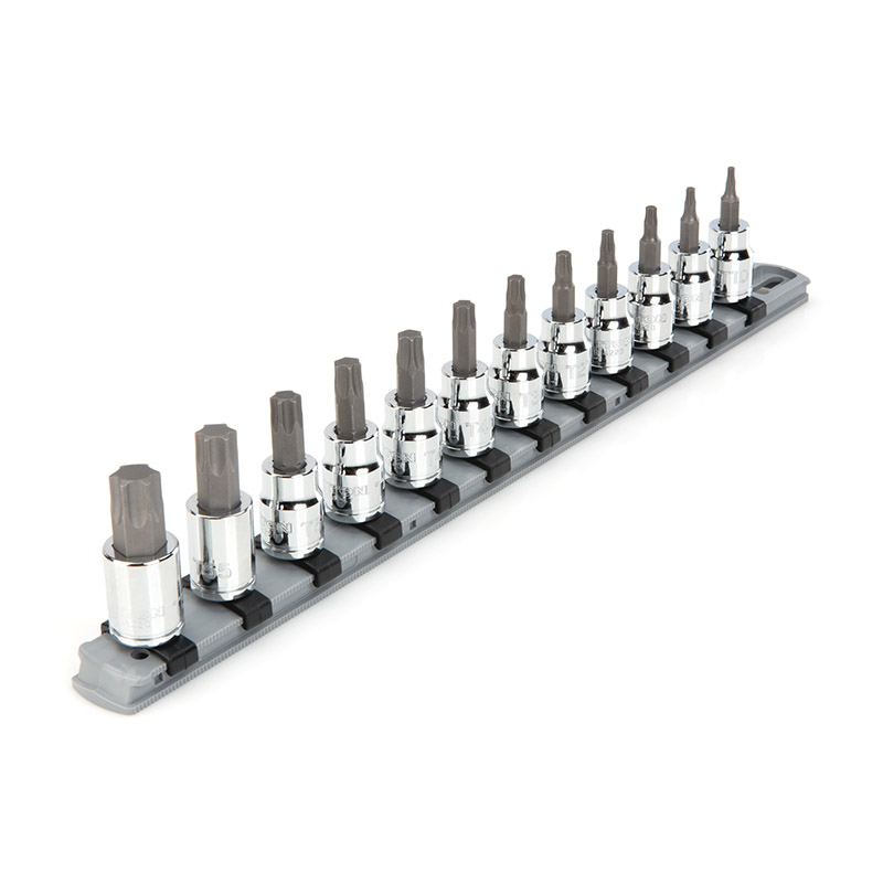 TEKTON - 3/8 Inch Drive Torx Bit Socket Set With Rail 12-Piece (T10-T60) SHB91103