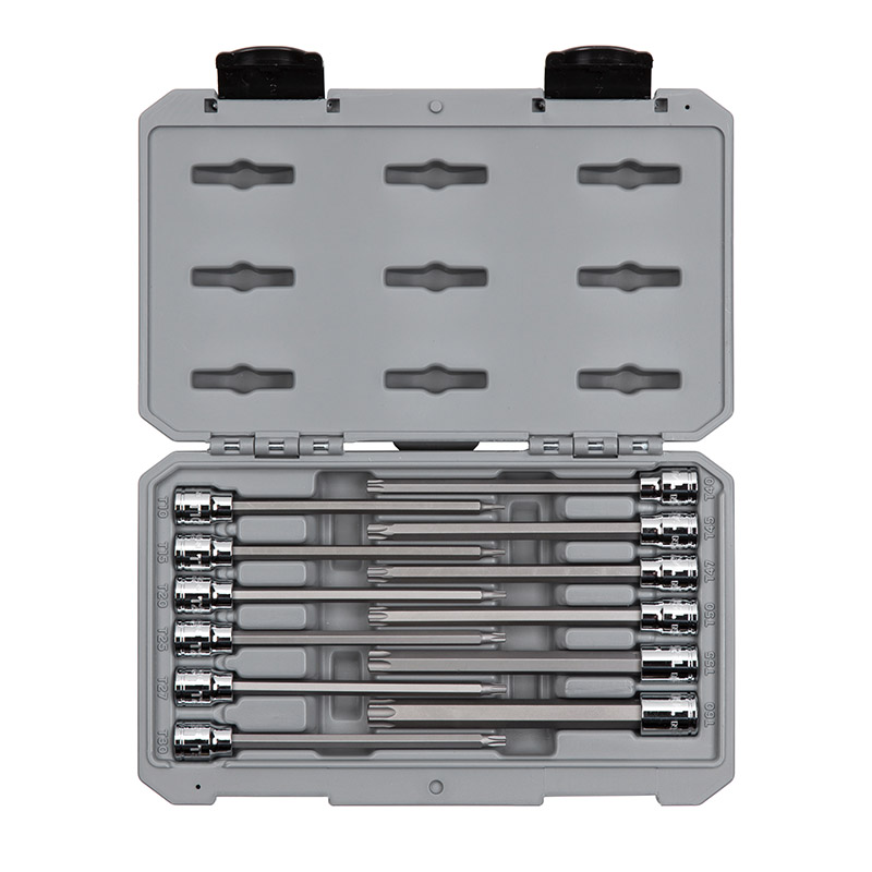 TEKTON - 3/8 Inch Drive Long Torx Bit Socket Set With Case 12-Piece (T10-T60) SHB91305