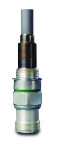 CH34419 Champion Igniter