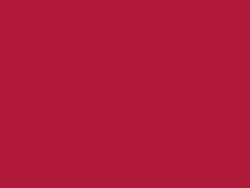 197 Red Sail Fabric 54