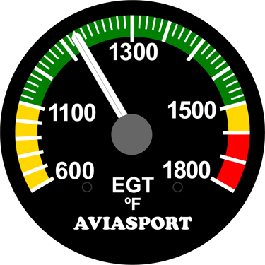 IM-780 2 EGT 600-1800 F Rotax 912