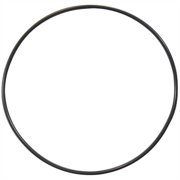 ROTAX 250-510 O-RING 87X2