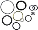 Trimcraft Piper Main Strut Rebuild Kit