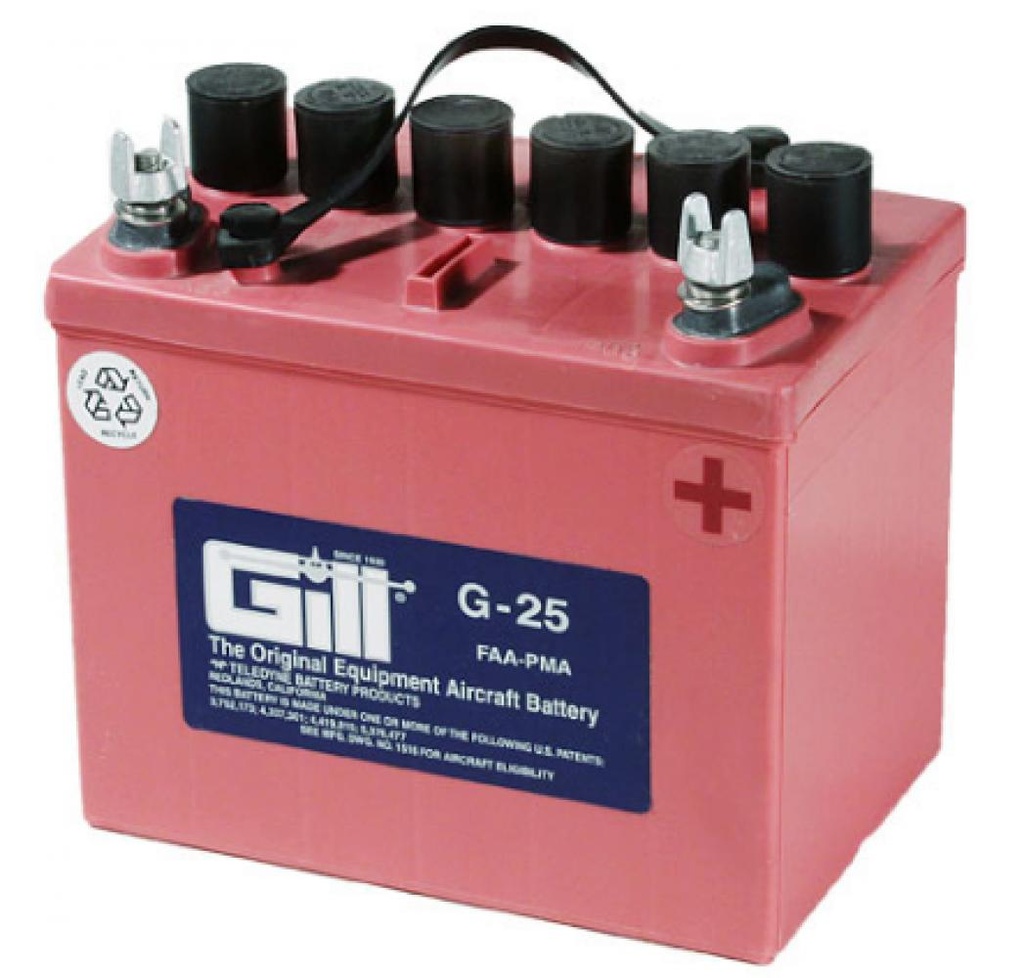 DRY BATTERY LEAD ACID