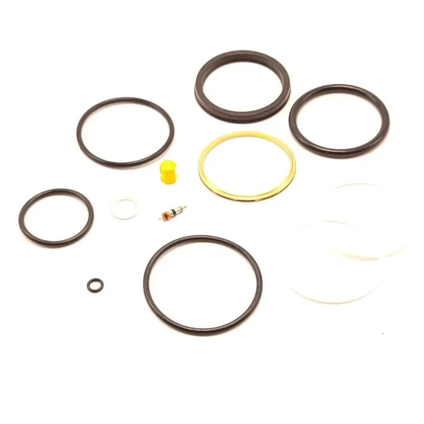 Cessna 310 Main Strut Seal Kit-310L Thru NPQR