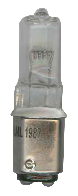 AML Bulb 1987