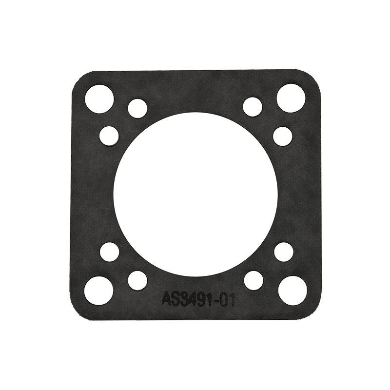 Vacuum Pump Gasket MS913401