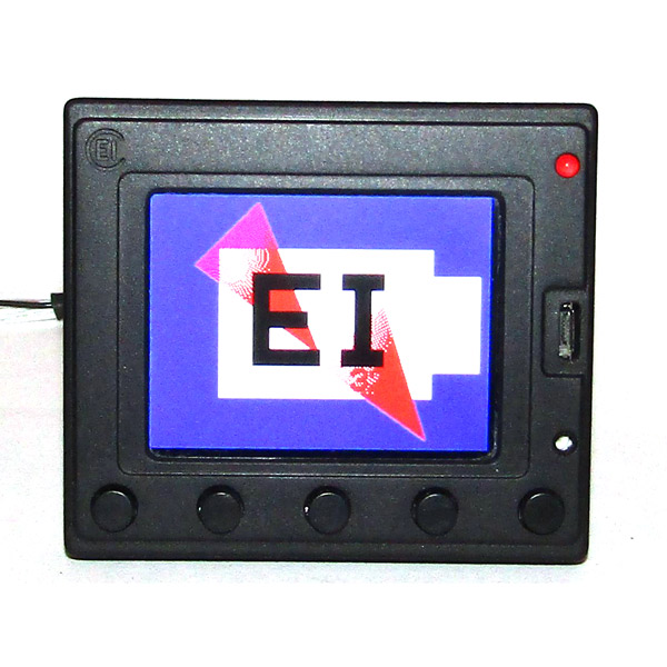 Electronics International Commander EiC32 Ignition Monitor With 2-1/2 Sun Readable Display