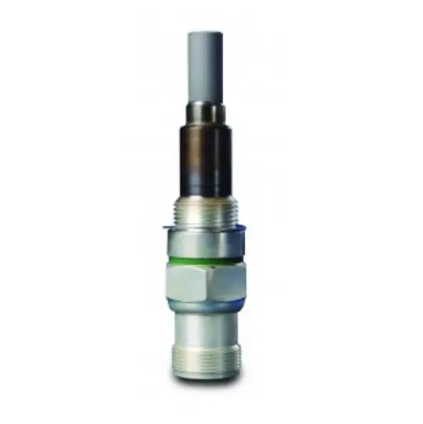 CH31815-2 Champion Igniter