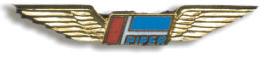 Piper Wings Pin