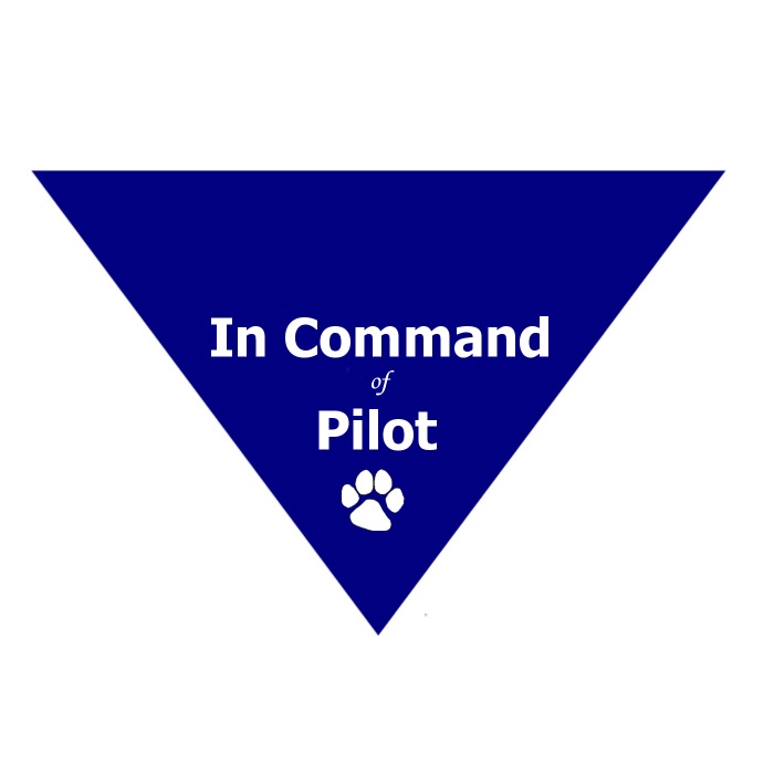 In Command Of Pilot Bandana B748/L Large