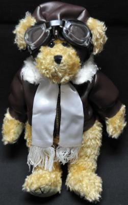 [RX1-14-00095] Pilot Bear 10