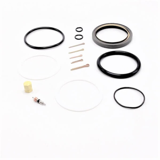 [RX1-04-04023] Beech Main Strut Service Kit For B55E5556Tc58G5858P And 58Tc Baron With 60-810000 Series Gear