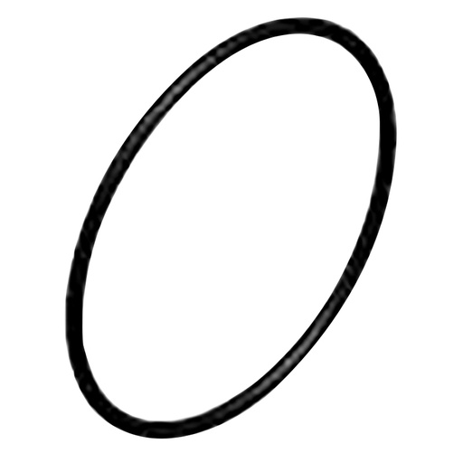[RX1-05-00706] Replacement O-Ring For GaS500