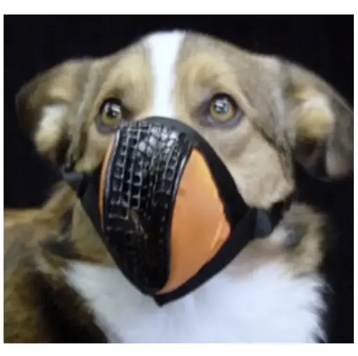 [RX1-13-07463] Aerox Pet Mask X-Large