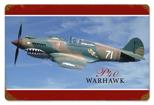 [RX1-13-08456] P-40 Warhawk Metal Sign 18X12