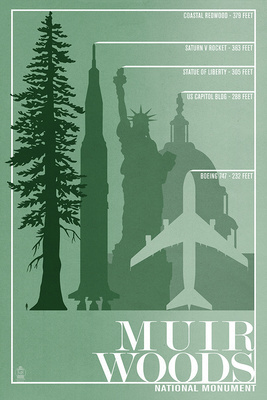 [RX1-13-17732] MUIR WOODS NATIONAL MONUMENT POSTCARD