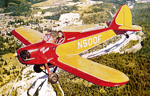 [RX1-01-00974] Flybaby Plywood Kit