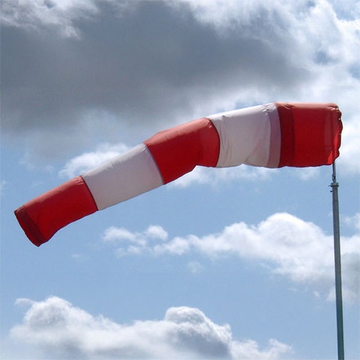 [RX1-05-05235] 18 International Eurosock