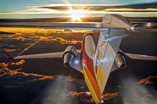 [RX1-13-13485] Jose Ocana Art Flying At Dawn Print 21X14