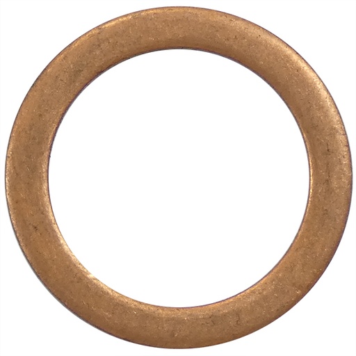 [RX1-15-00264] ROTAX 250-735 GASKET RING A 14X20