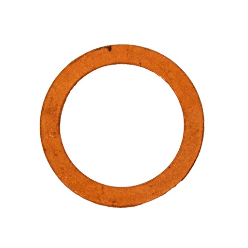 [RX1-15-09501] Rotax Certified Gasket Ring A 16X22 430622