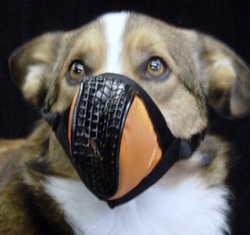 [RX1-13-07461] Aerox Pet Mask Medium