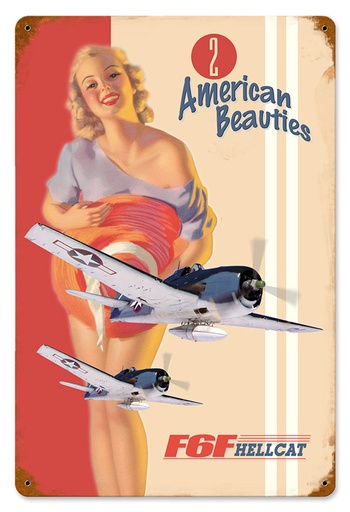 [RX1-13-08518] F6F Hell Cat Metal Sign 12X18
