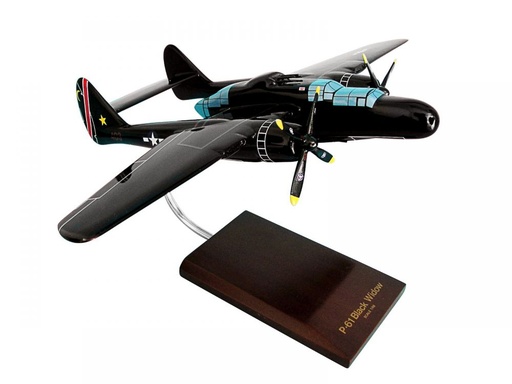 [RX1-13-10584] P-61B Black Widow Model