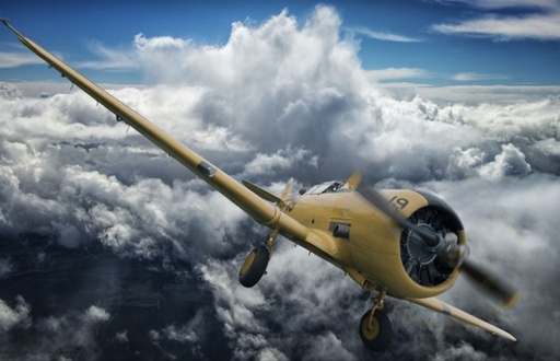 [RX1-13-13541] Jose Ocana Art T6 Texan Print 33X22