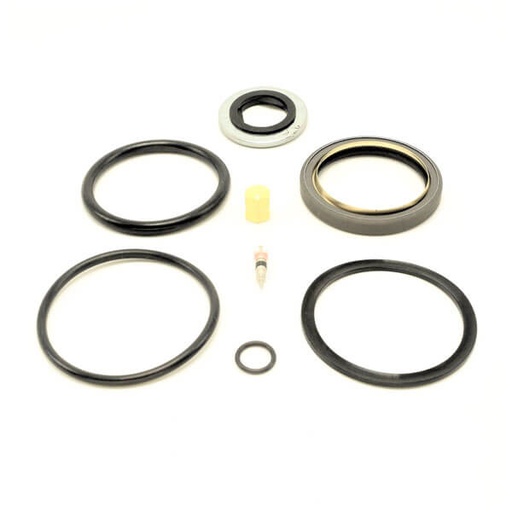 [RX1-04-04025] Beech 60 Duke Main Strut Seal Kit
