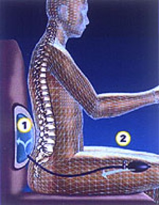 [RX1-13-01501] Inflatable Lumbar Support +