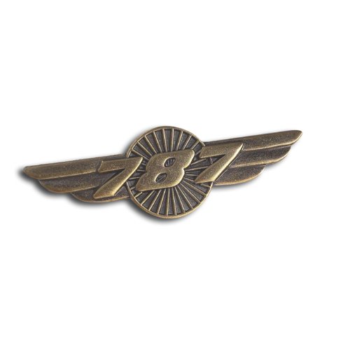 [RX1-14-01605] Boeing 787 Wings Pin