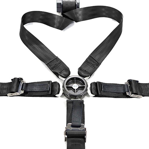 [RX1-05-22319] ABI Buckle Lap Belt Bench 208-213-2 Black
