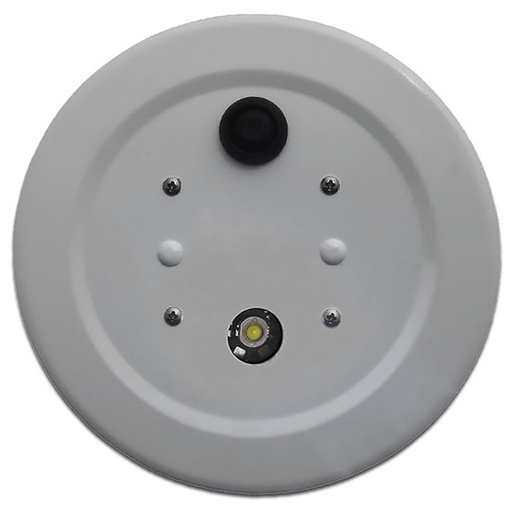 [RX1-11-20278] Fly - Lite Fabric