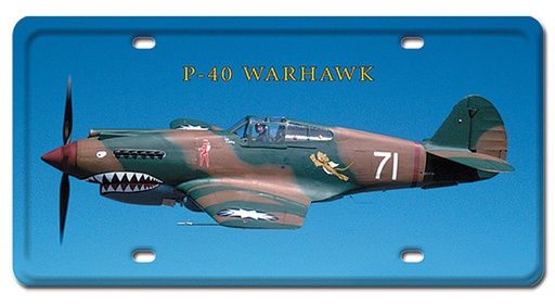 [RX1-13-08212] P-40 Warhawk Metal License Plate 12X6