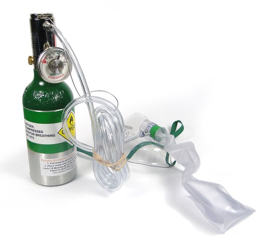 [RX1-13-02735] Aerox Oxygen System PRO-O2 1-Place