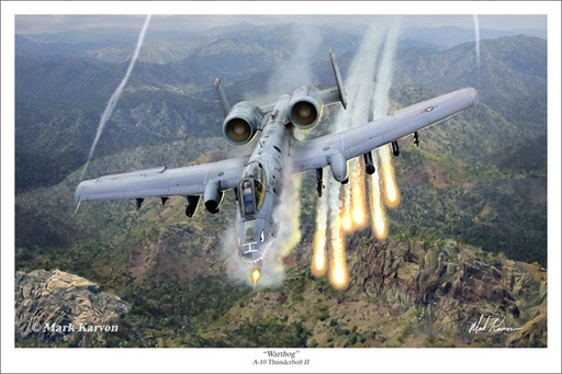 [RX1-13-15481] Warthog- Art Print 16X24