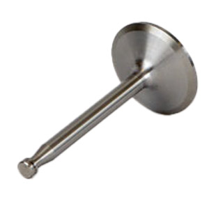 [RX1-08-11601] Superior SL13622 Valve Int.
